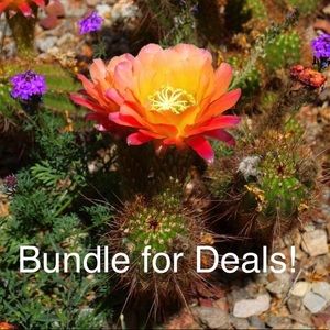 Make a bundle & I’ll figure out a perfect deal ☺️